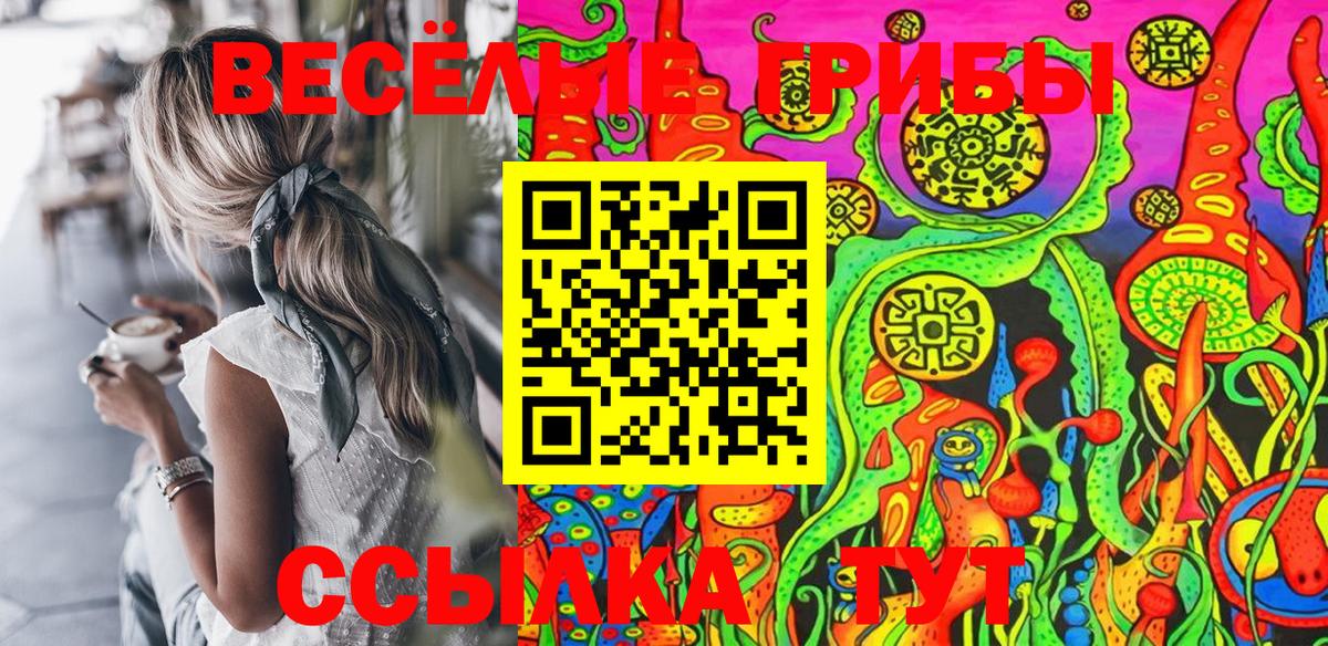 Псилоцибиновые грибы MAGIC MUSHROOMS  Вход с VPN  где продают наркотики  Галлюциногенные грибы Psilocybine cubensis  Богородицк 