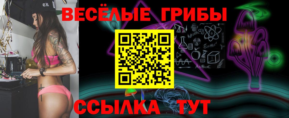 Псилоцибиновые грибы мицелий Богородицк